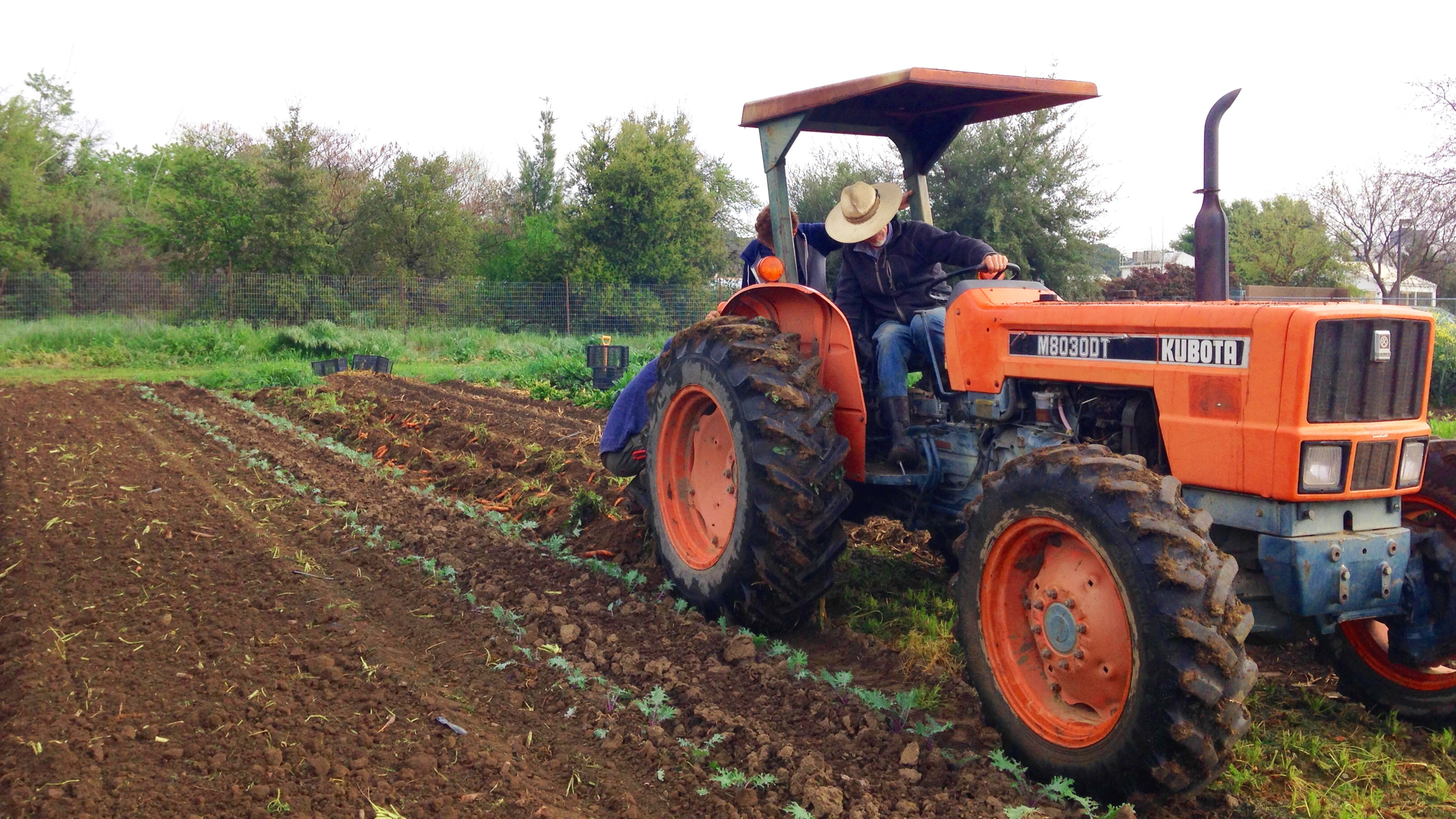 Agricultural work on the UC Davis Student Farm