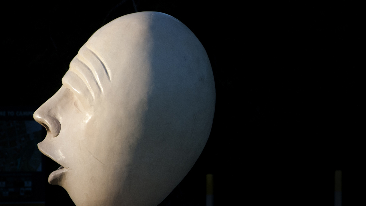 Teaser image of an egghead - Click to learn more about this program