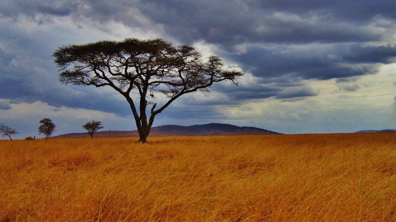 Header Image, Photo Gallery - Tanzania