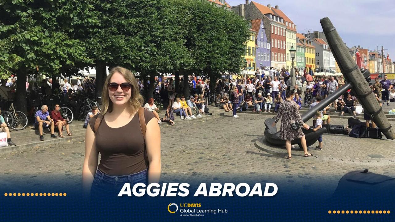 A solo shot in the iconic Nyhavn district of Copenhagen. (Photo courtesy: Christine DeLong) Aggies Abroad Blog - Primary Photo