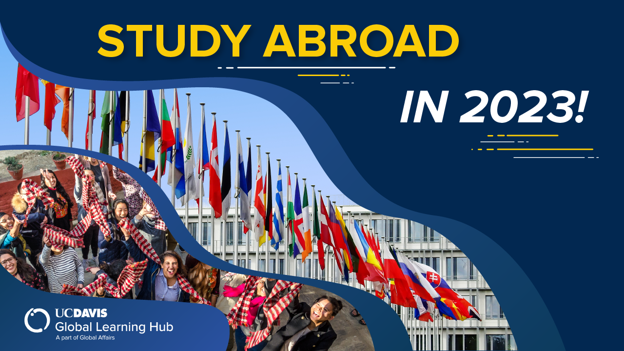 Graphic with text: Study Abroad in 2023