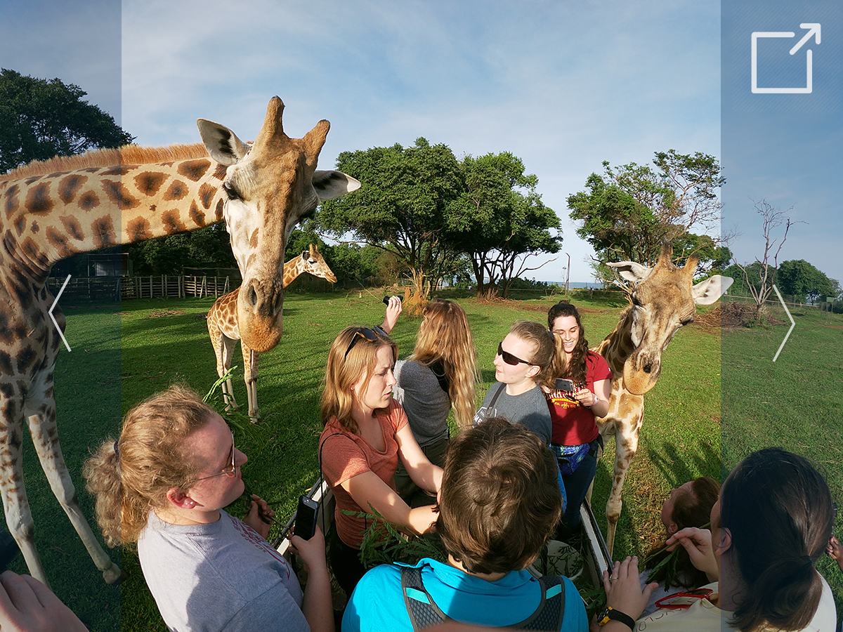 A group of students surrounding a small giraffe.