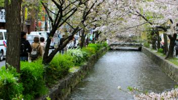 UC Davis Study Abroad, Summer Abroad Japan_Life Program, Photo Album, Image 3