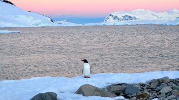 UC Davis Study Abroad, Seminars Abroad Antarctica Program, Photo Album, Image 3