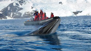 UC Davis Study Abroad, Seminars Abroad Antarctica Program, Photo Album, Image 7