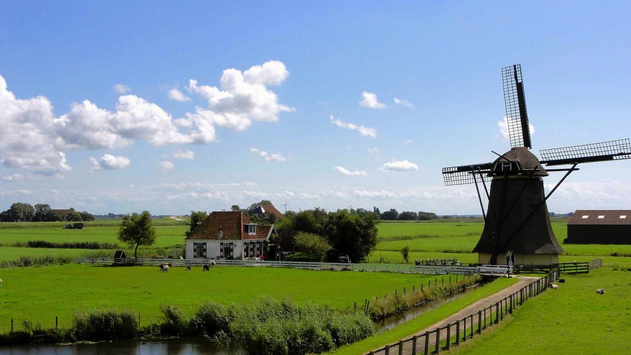 UC Davis Summer Abroad Netherlands, Photo Album, Header