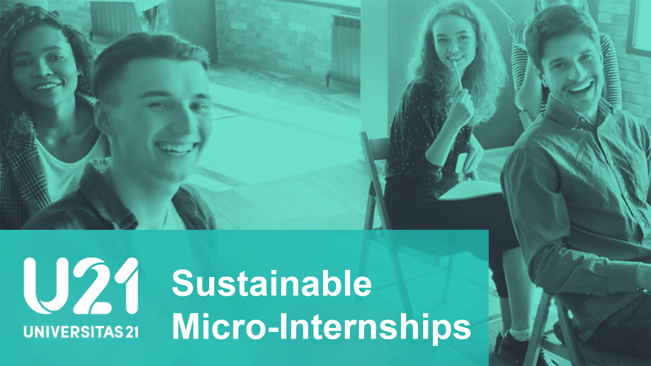Image of student sitting in a classroom smiling. Text in lower left corner: Sustainable Micro-Internships