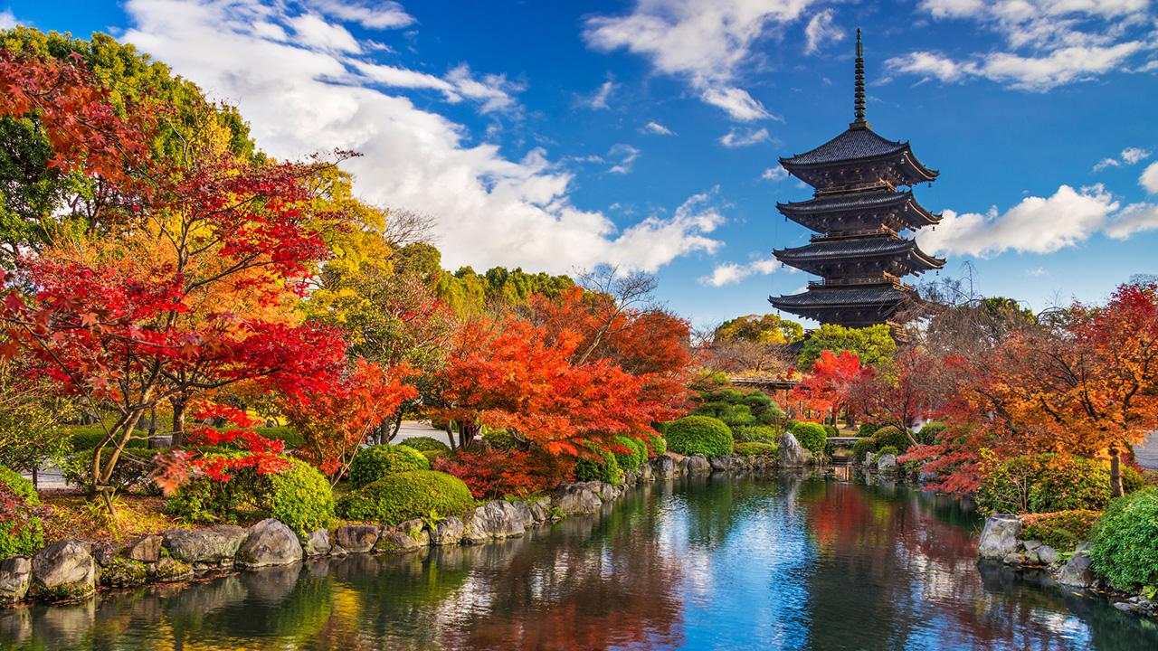 Image of a tall Japanese building surrounded by trees bursting with fall colors