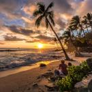 UC Davis Study Abroad, Summer Internship Abroad USA, Community Health & Native Healing in Hawaii Program, Header Image, Overview Page