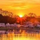 Photo Album - Header Image - SI D.C. Program
