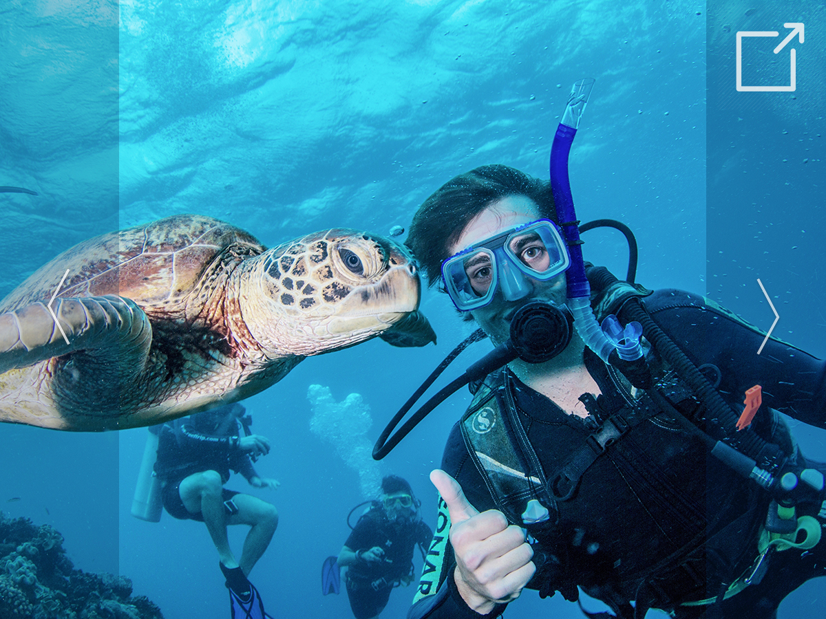 Student scuba diving. He has a thumbs-up pose. A large sea turtle swims next to him.