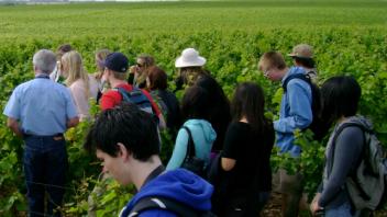 UC Davis Study Abroad, Summer Abroad France_Wine Program, Photo Album, Image 13
