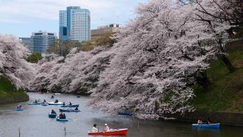 UC Davis Study Abroad, Summer Abroad Japan Program, Photo Album, Image 6