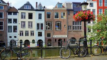 UC Davis Study Abroad, Summer Abroad Netherlands, NPB, Photo Album 6