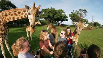 A group of students surrounding a small giraffe.
