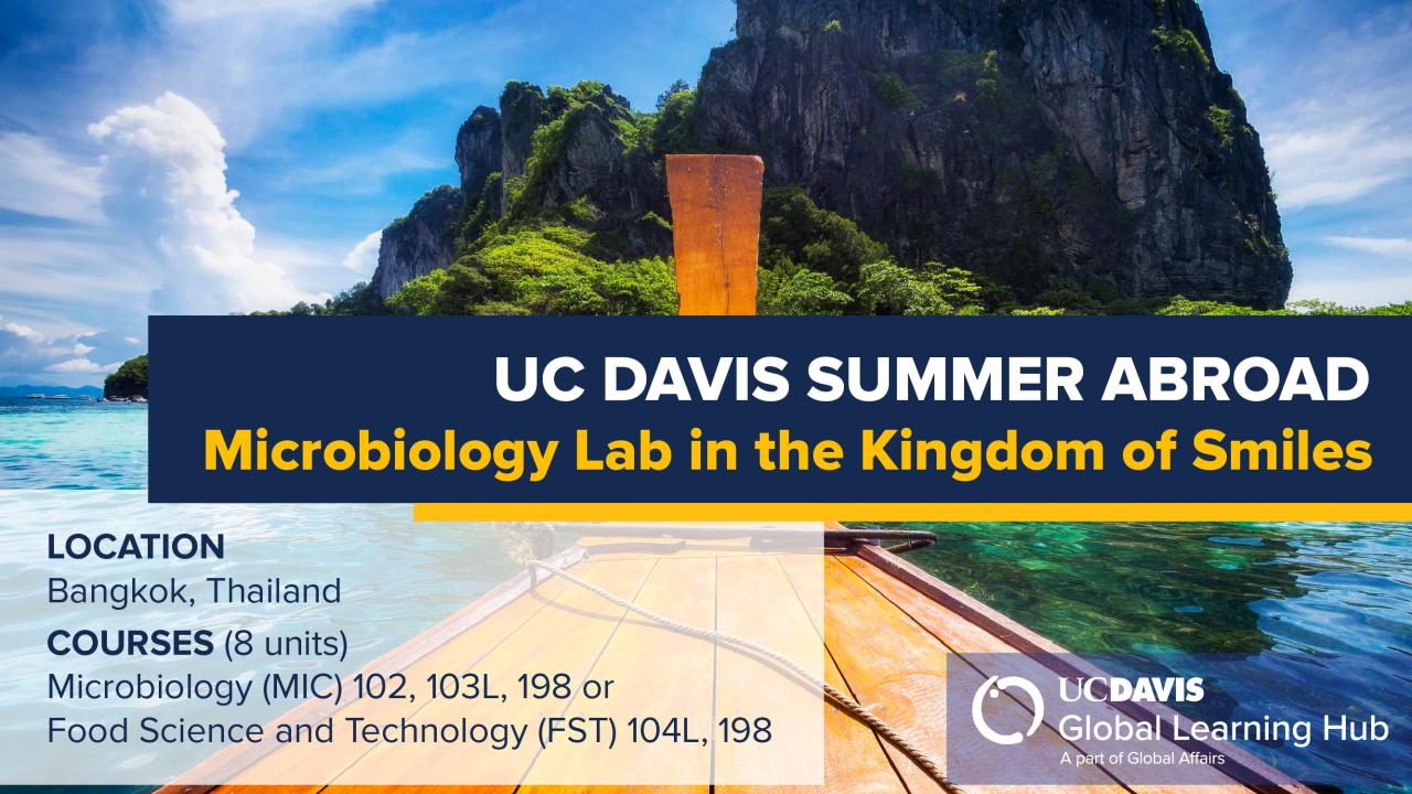 Graphic with text "UC Davis Summer Abroad Microbiology Lab in the Kingdom of Smiles"