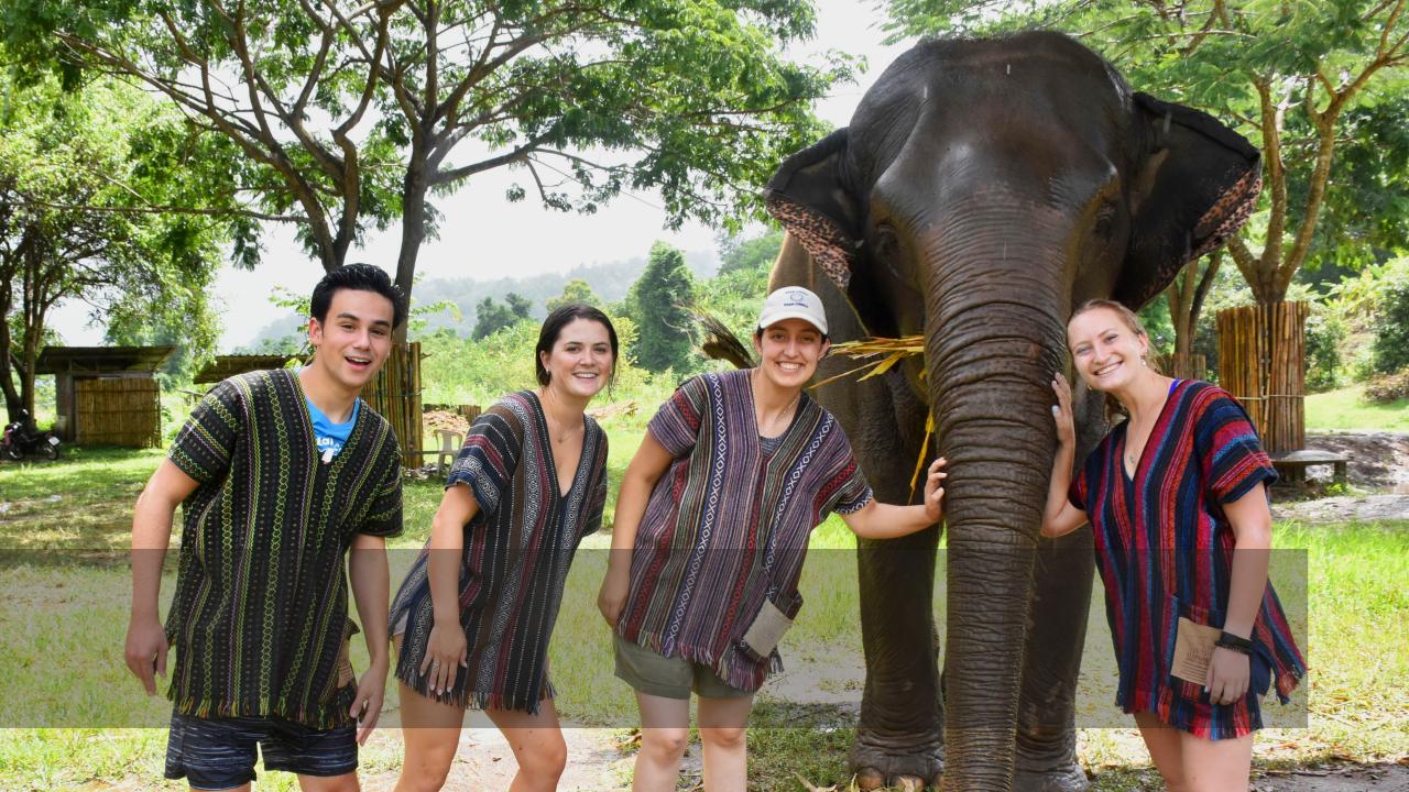 Four students with an elephant