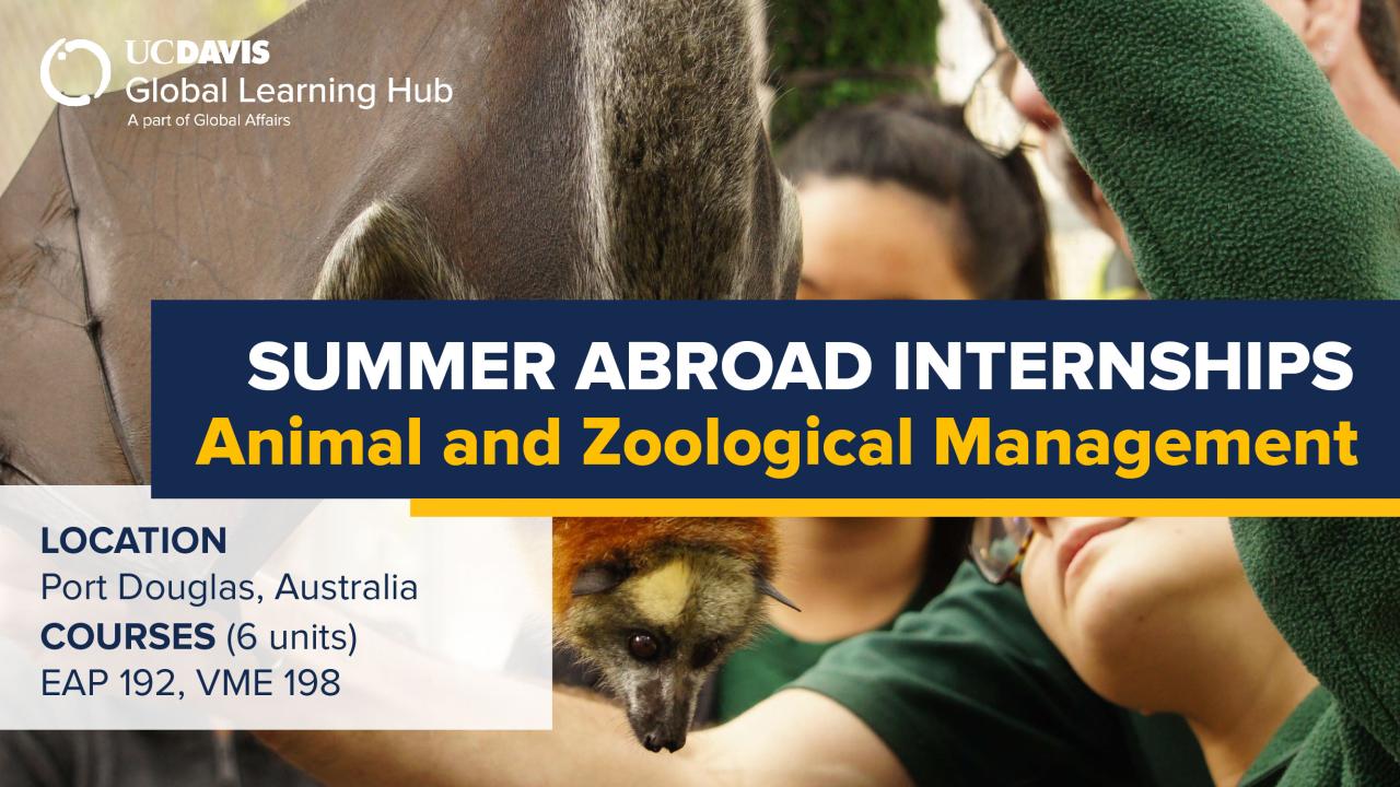 Graphic with text: "UC Davis Summer Abroad (Animal and Zoological Management)