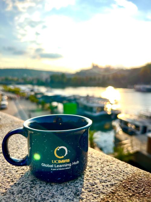 Photo of a beautiful sunset with a "Global Learning Hub" coffee mug in the foreground.