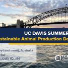Graphic with text: "UC Davis Summer Abroad Australia (Sustainable Animal Production Down Under)"