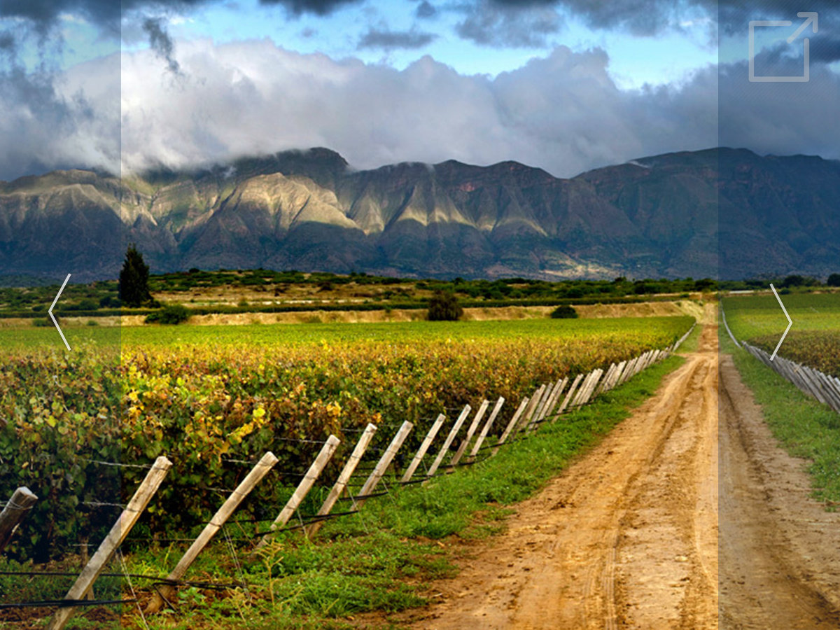 Summer Internship Abroad Bolivia - Gallery Photo