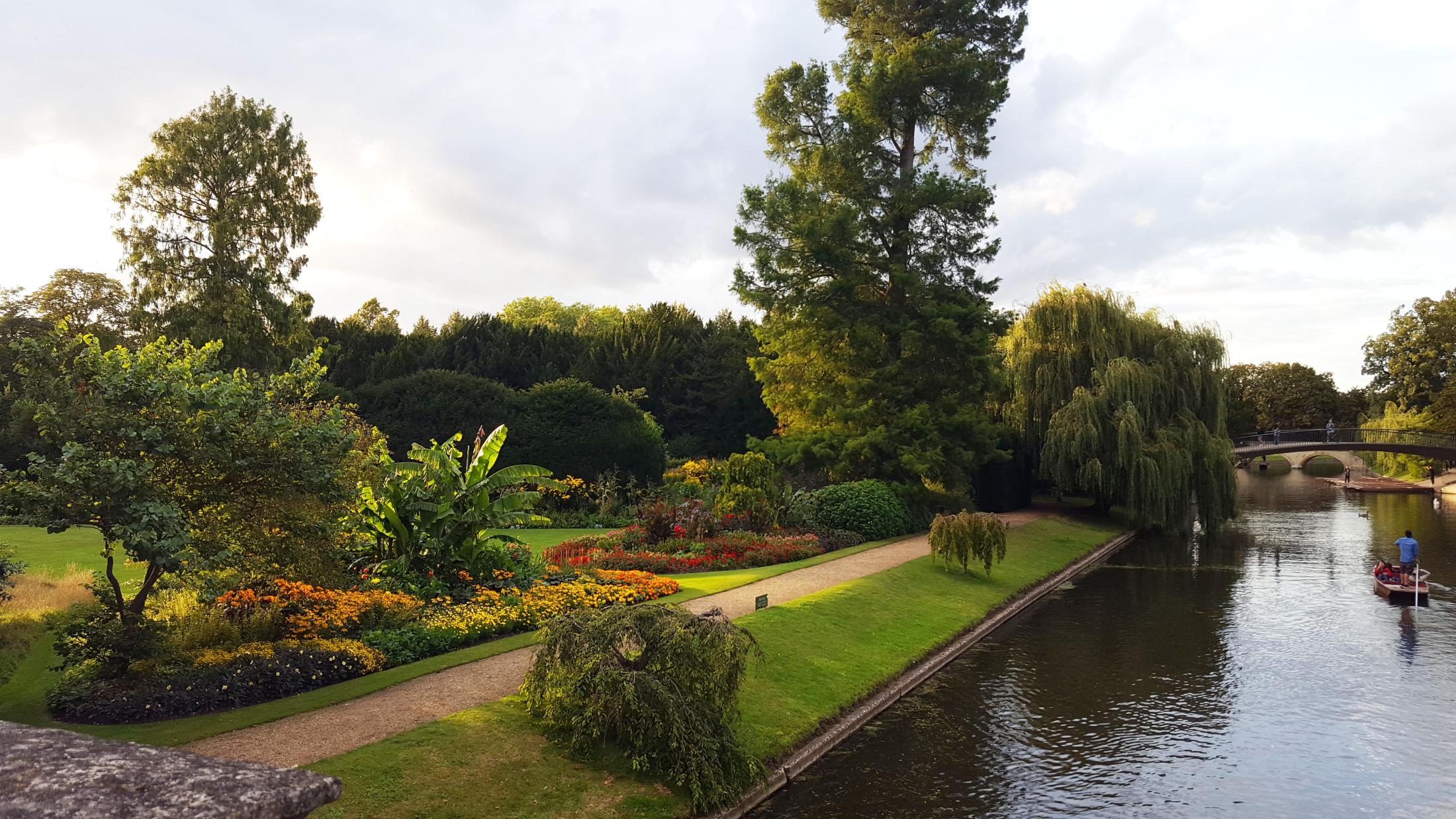 A manicured garden alongside the River Cam at sunset