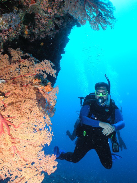 Blog Photo, Scuba Diving