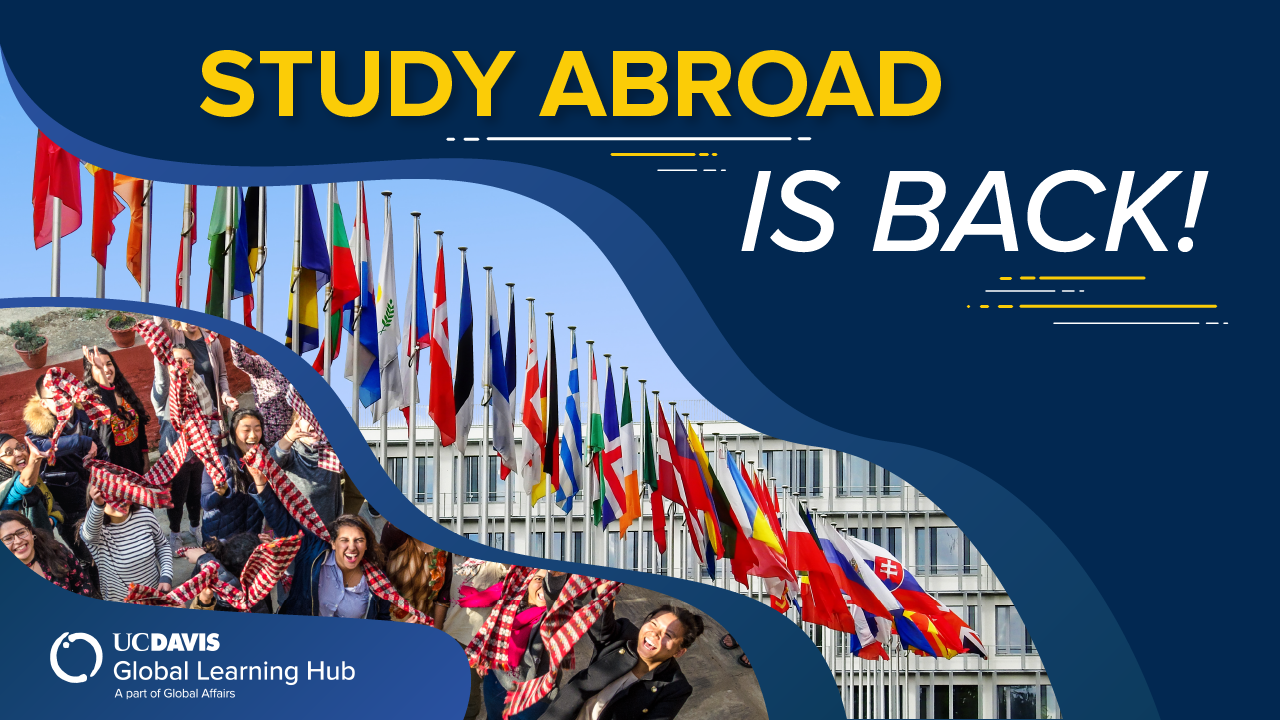 Graphic with text 'Study Abroad is Back!"