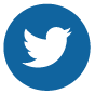 Social media button: Twitter