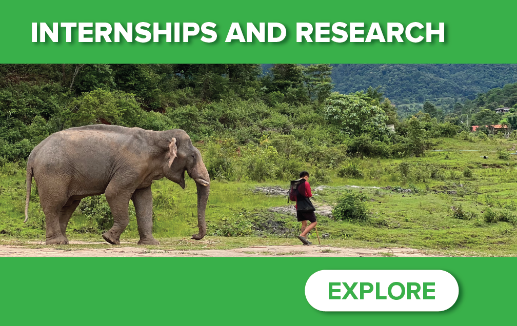 Image a student walking alongside an elephant. Text: Internships and Research.