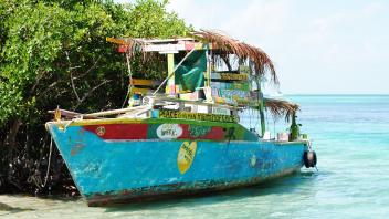 UC Davis Summer Internships Abroad Belize, Photo Album, Header