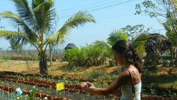 UC Davis Study Abroad, Summer Abroad Cuba Program, Photo Album, Image 11