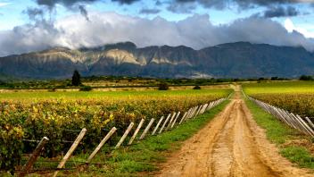 UC Davis Study Abroad, Internship Abroad Bolivia_Tarija Program, Photo Album, Image 7