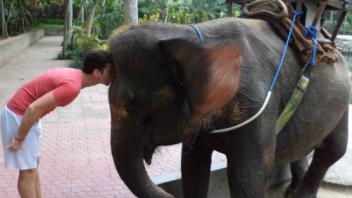 UC Davis Study Abroad, Internship Abroad Hong Kong Program, Photo Album, Image 3