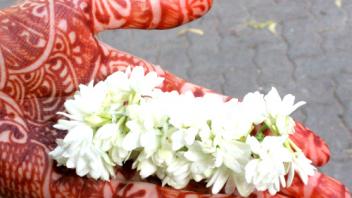 UC Davis Study Abroad, Internship Abroad India Program, Photo Album, Image 4