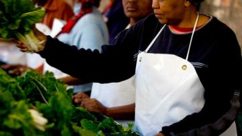 UC Davis Study Abroad, Internship Abroad South Africa Capetown Program, Photo Album, Image 7