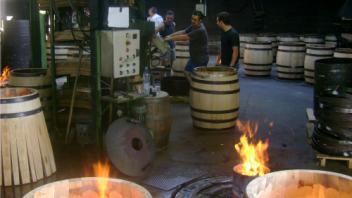 UC Davis Study Abroad, Summer Abroad France_Wine Program, Photo Album, Image 4