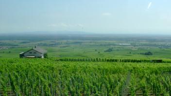 UC Davis Study Abroad, Summer Abroad France_Wine Program, Photo Album, Image 6