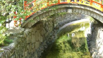 UC Davis Study Abroad, Summer Abroad Japan_Life Program, Photo Album, Image 1