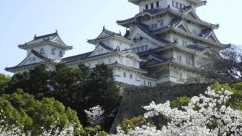 UC Davis Study Abroad, Summer Abroad Japan_Life Program, Photo Album, Image 6