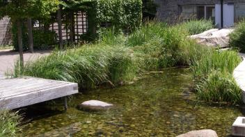 UC Davis Study Abroad, Summer Abroad MC_Sustainable Program, Photo Album, Image 10