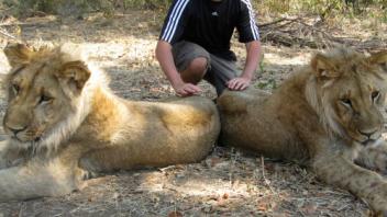 UC Davis Study Abroad, Summer Abroad South Africa Program, Photo Album, Image 4