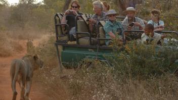 UC Davis Study Abroad, Summer Abroad South Africa Program, Photo Album, Image 7