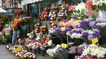 UC Davis Study Abroad, Summer Abroad Spain_Housing Program, Photo Album, Image 13