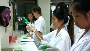 UC Davis Study Abroad, Summer Abroad Thailand Program, Photo Album, Image 2