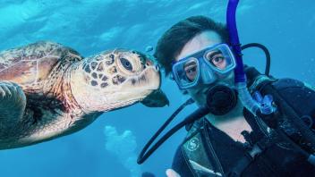 UC Davis Study Abroad, Internship Abroad Australia Program, Photo Album, Image 1