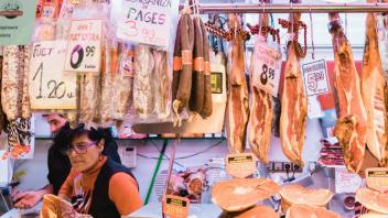UC Davis Study Abroad, Internship Abroad Spain Program, Photo Album, Image 11