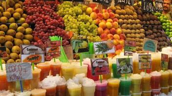 UC Davis Study Abroad, Internship Abroad Spain Program, Photo Album, Image 2