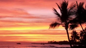 UC Davis Study Abroad, Internship Abroad Hawaii Program, Photo Album, Image 11
