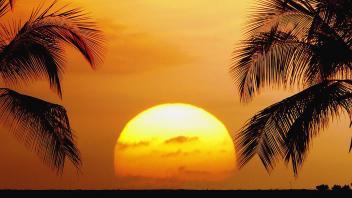 UC Davis Study Abroad, Internship Abroad Hawaii Program, Photo Album, Image 13